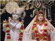 swaminarayan_vasantpanchami_2724.jpg